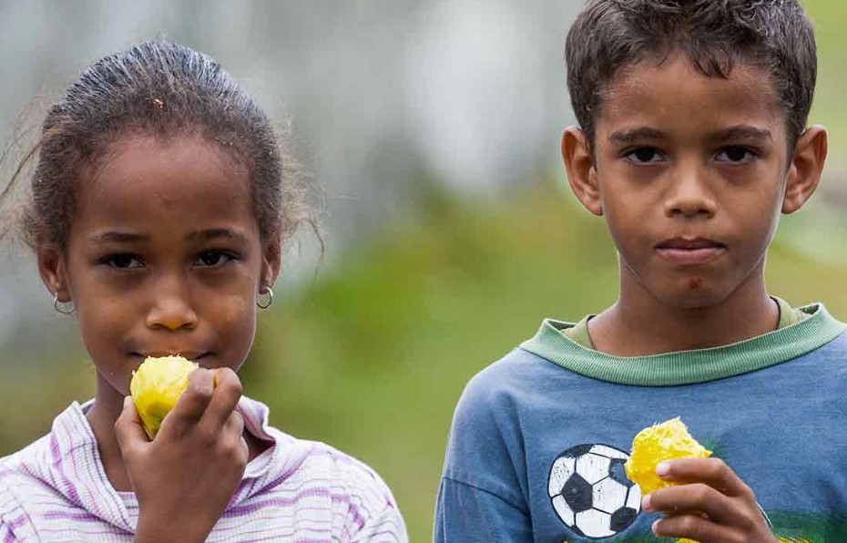 Mango,kinder,kubaner,